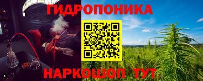 сатива Краснознаменск