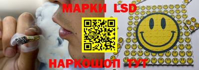 сатива Краснознаменск