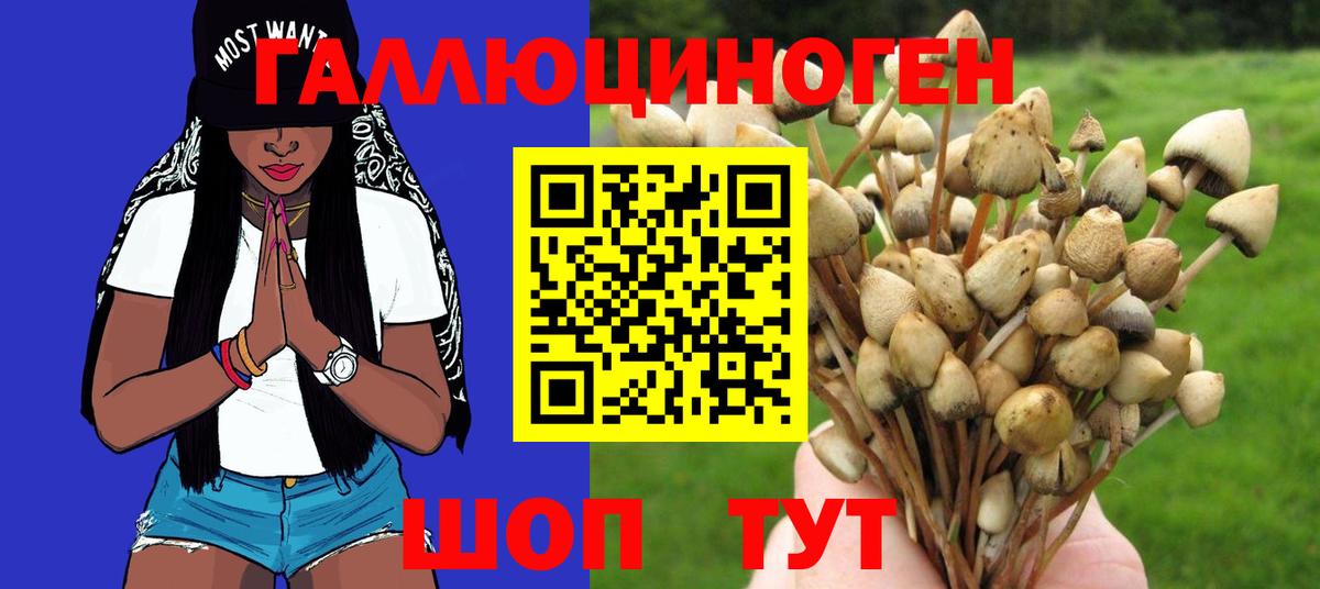 Галлюциногенные грибы мухоморы  Галлюциногенные грибы мухоморы  Донецк  Вход с VPN 